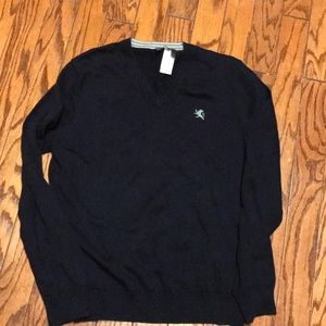 NWT Men’s Express V Neck Sweater Large